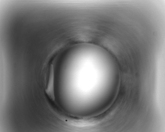 X0000089430020200706221219