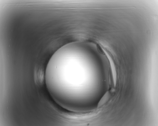 X0000089430021200706221219