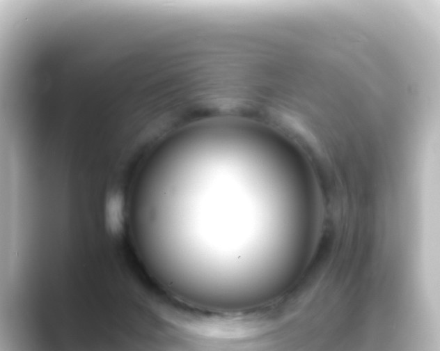 X0000089430024200706221219