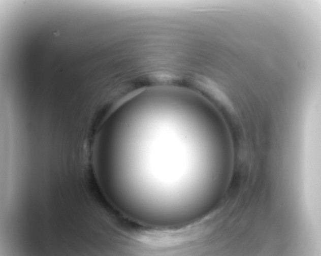 X0000089430025200706221219