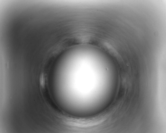 X0000089430026200706221219