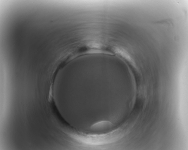 X0000089430027200706221219