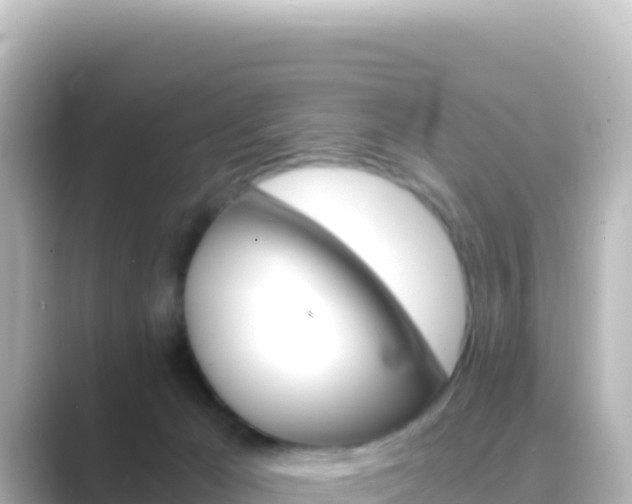 X0000089430029200706221219