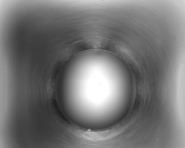 X0000089430030200706221219