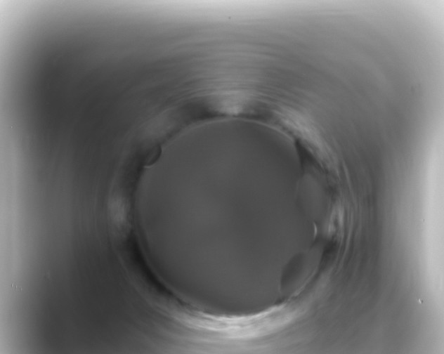 X0000089430031200706221219