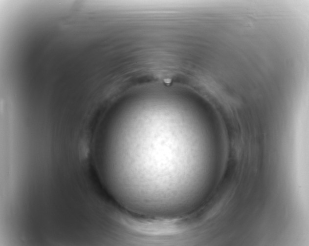 X0000089430032200706221219