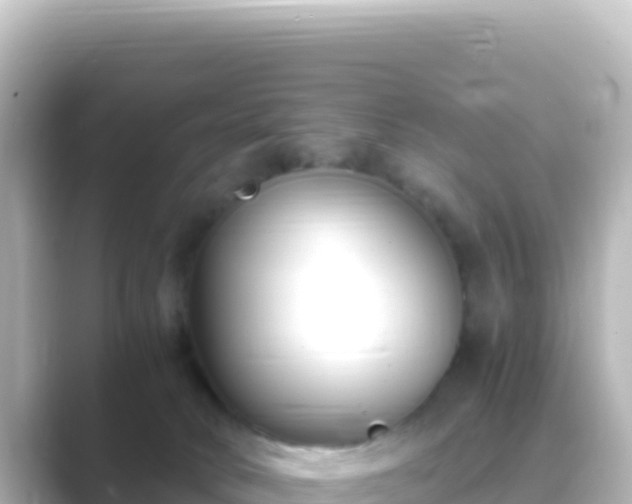 X0000089430034200706221219