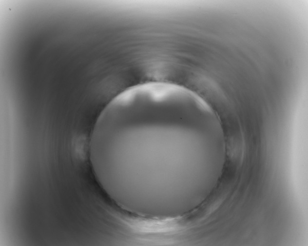 X0000089430036200706221219