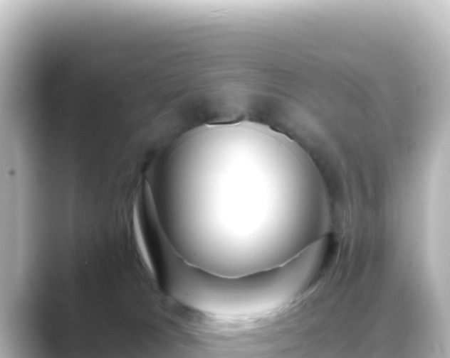 X0000089430037200706221219