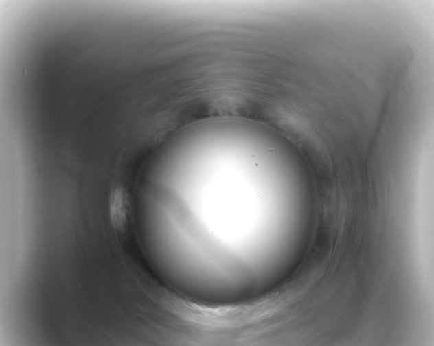 X0000089430038200706221219