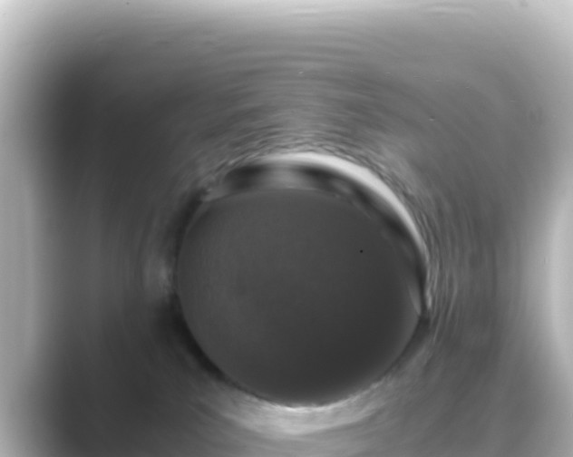 X0000089430039200706221219