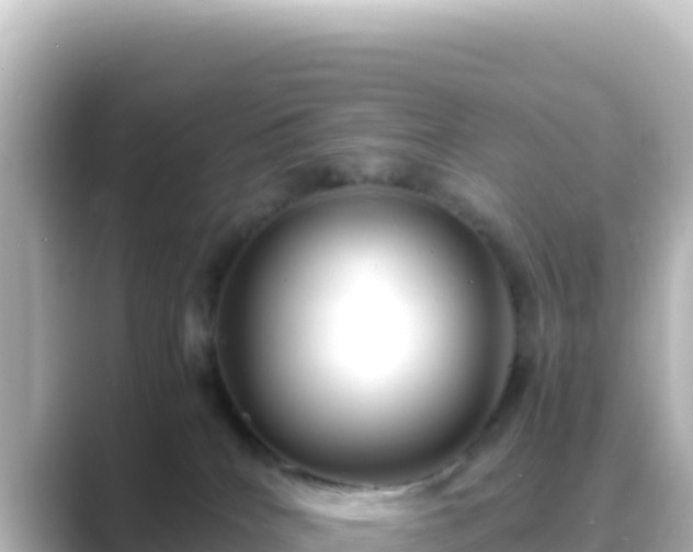 X0000089430040200706221219