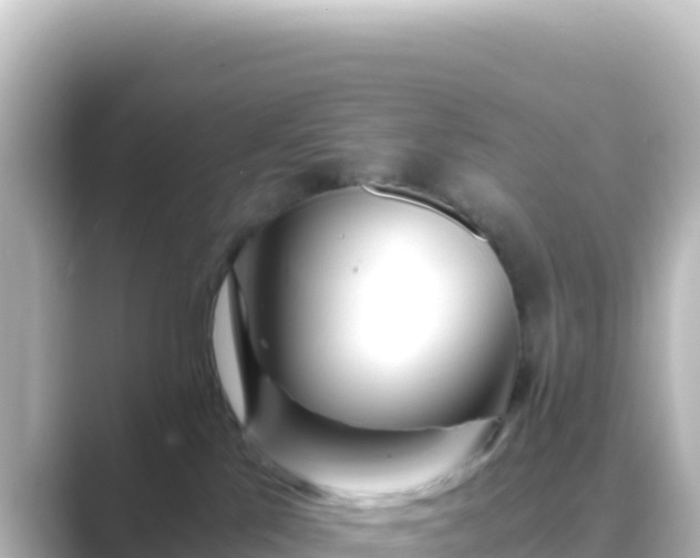 X0000089430041200706221219