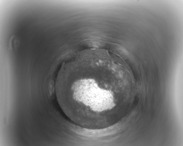 X0000089430043200706221219