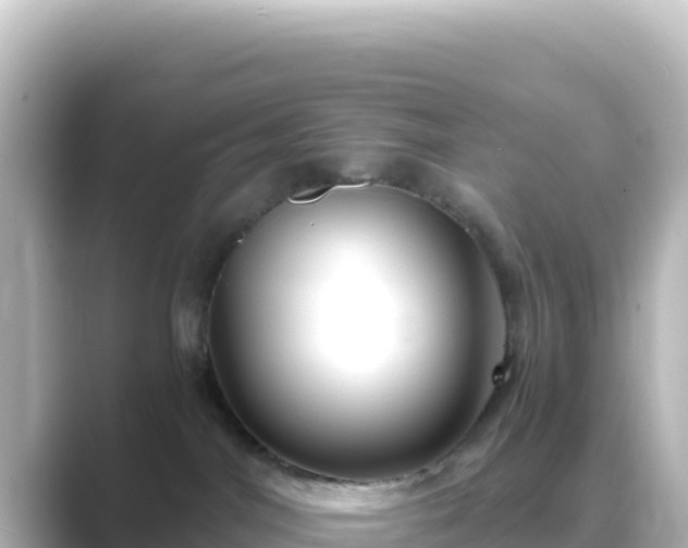 X0000089430044200706221219