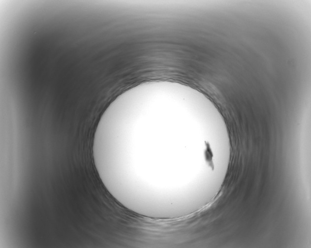 X0000089430045200706221219