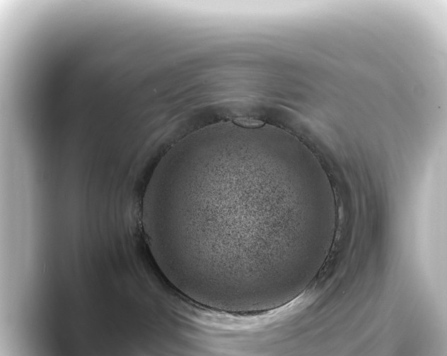 X0000089430048200706221219