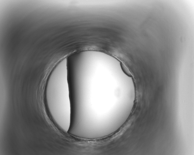 X0000089430049200706221218