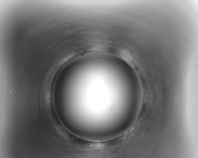 X0000089430050200706221218