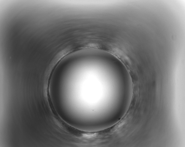 X0000089430051200706221218