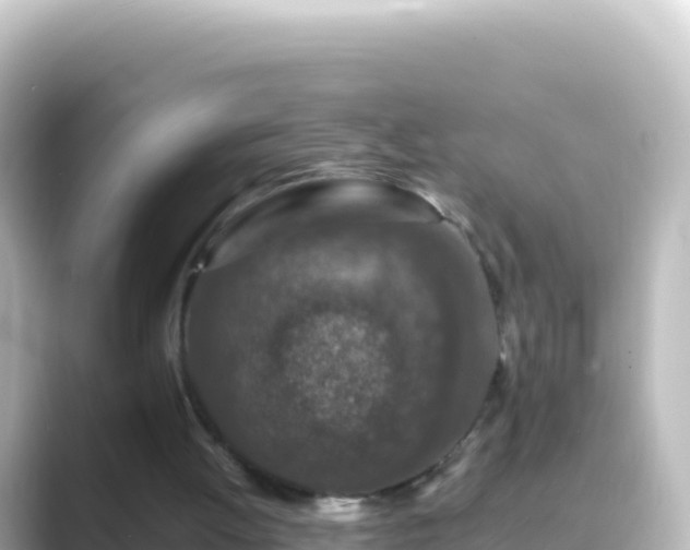 X0000089430052200706221218