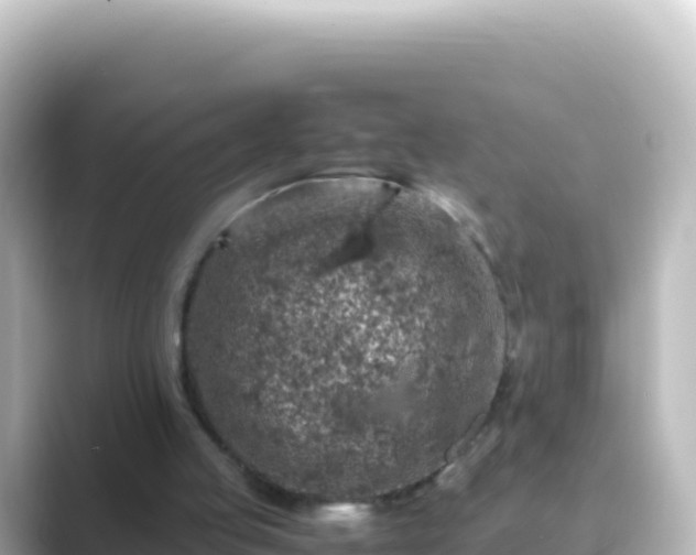 X0000089430053200706221218