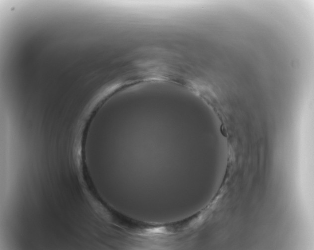 X0000089430054200706221218