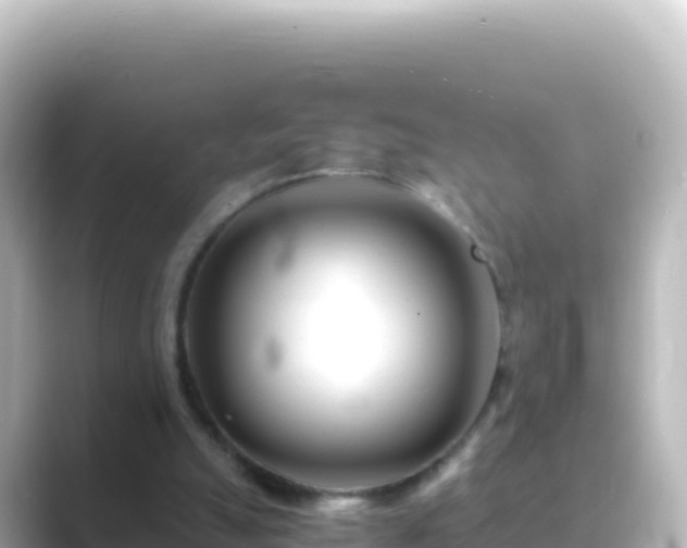 X0000089430055200706221218