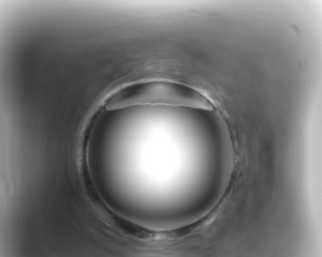 X0000089430056200706221218