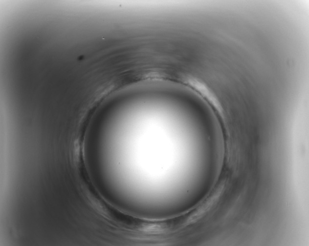 X0000089430057200706221218