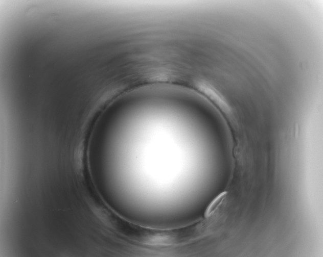 X0000089430058200706221218