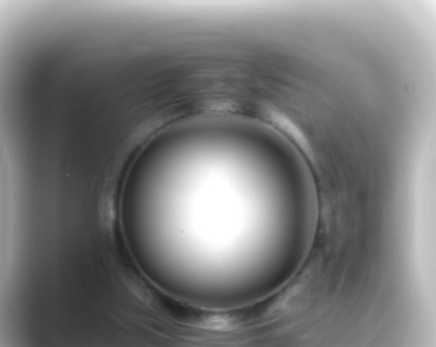 X0000089430059200706221218