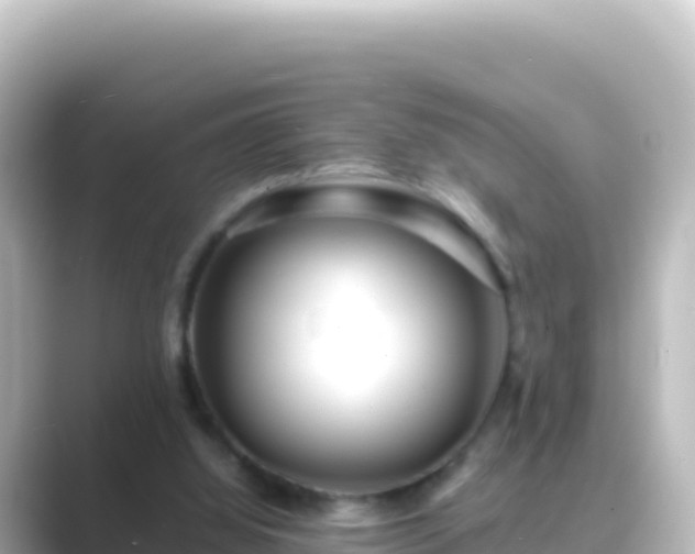 X0000089430060200706221218