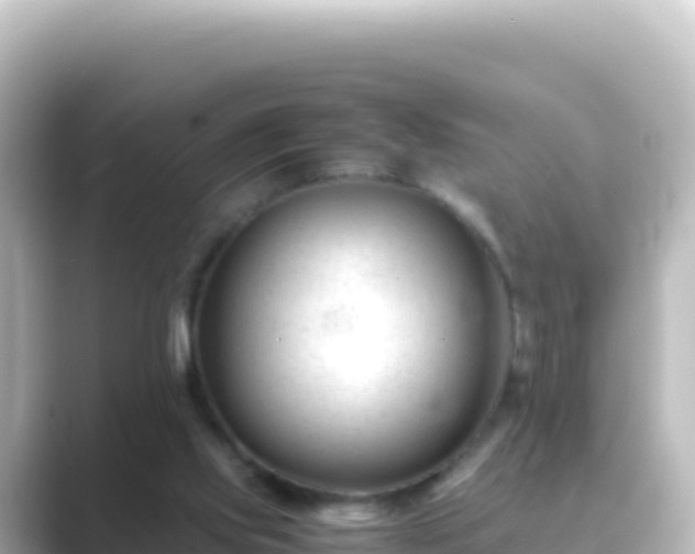 X0000089430061200706221218