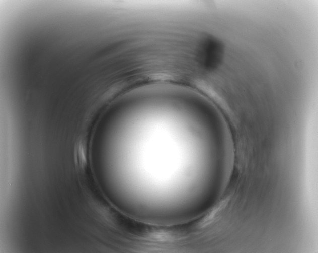 X0000089430062200706221218