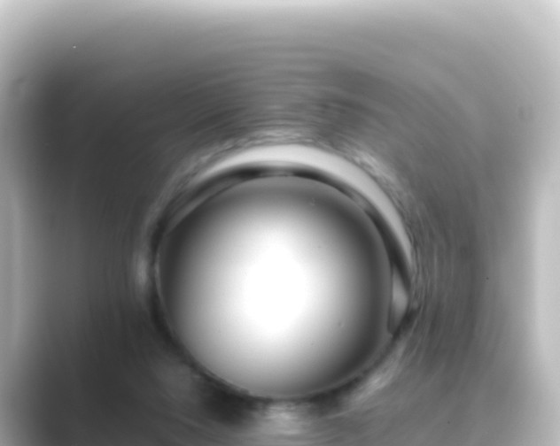 X0000089430064200706221218