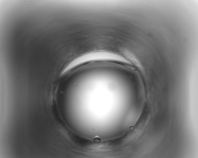 X0000089430065200706221218