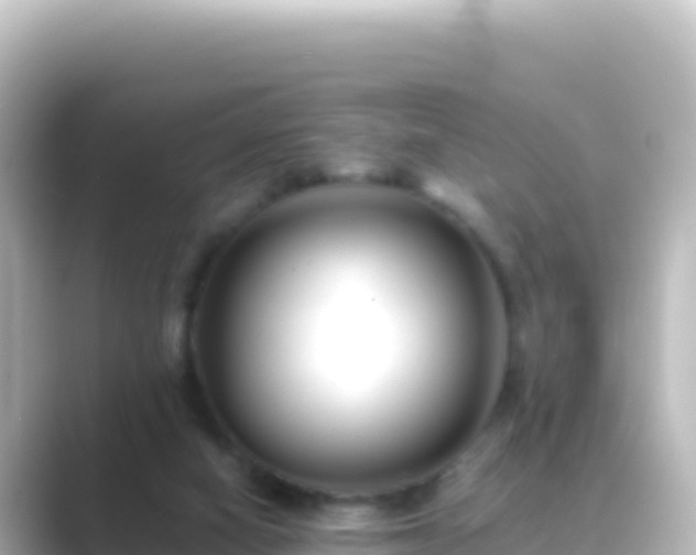 X0000089430066200706221218