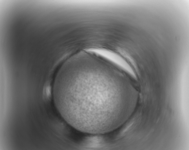 X0000089430067200706221218