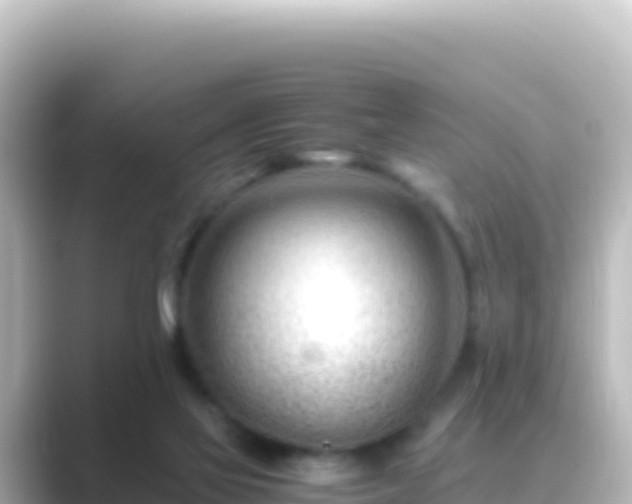 X0000089430069200706221218