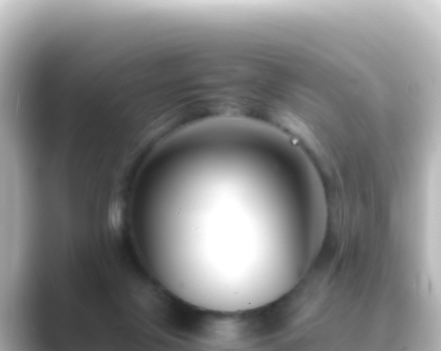 X0000089430071200706221219