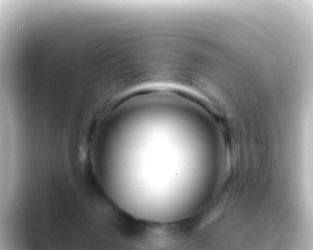 X0000089430072200706221219