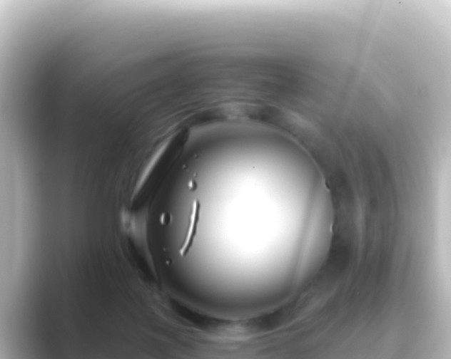 X0000089430075200706221219