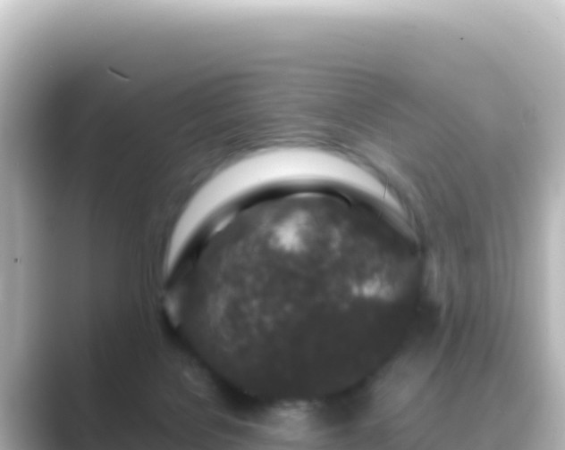 X0000089430076200706221219