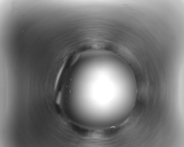 X0000089430078200706221219