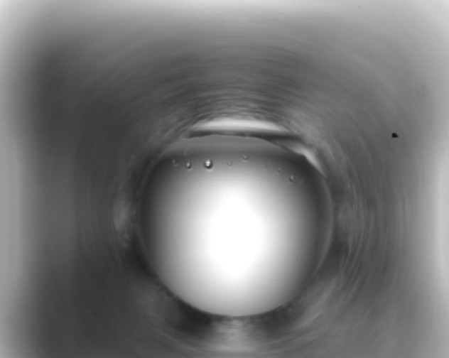 X0000089430079200706221219