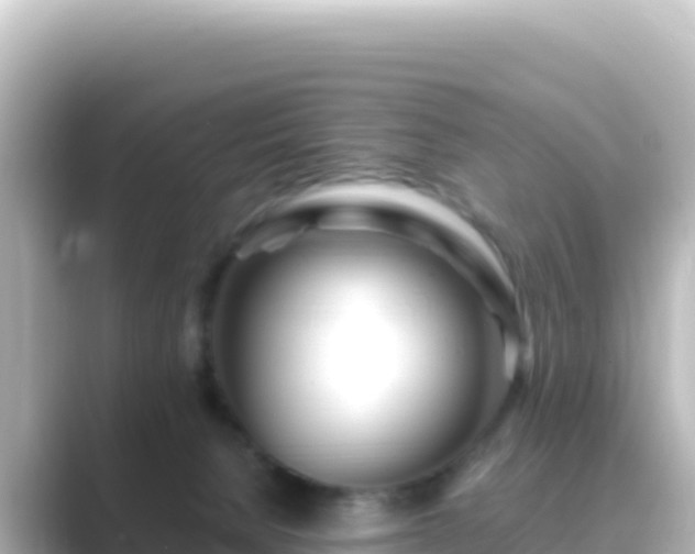 X0000089430080200706221219