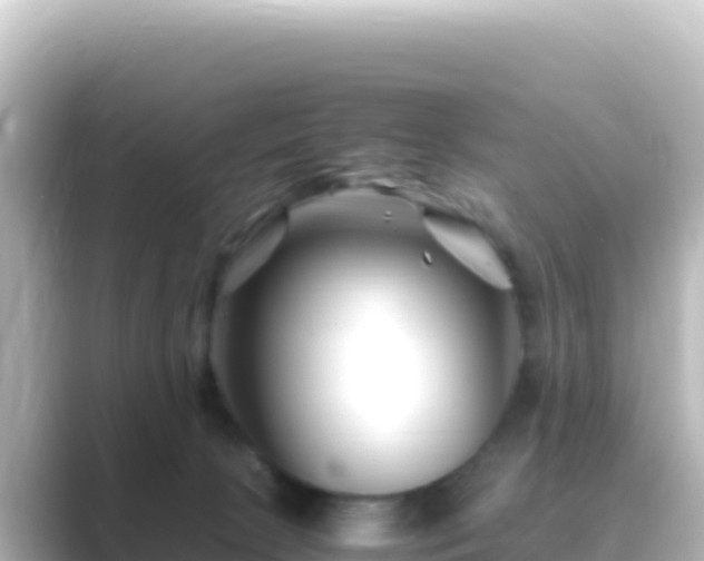 X0000089430081200706221219