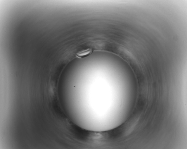 X0000089430083200706221219