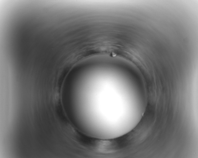 X0000089430085200706221219